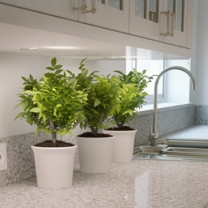 CAESARSTONE 6270 atlantic salt