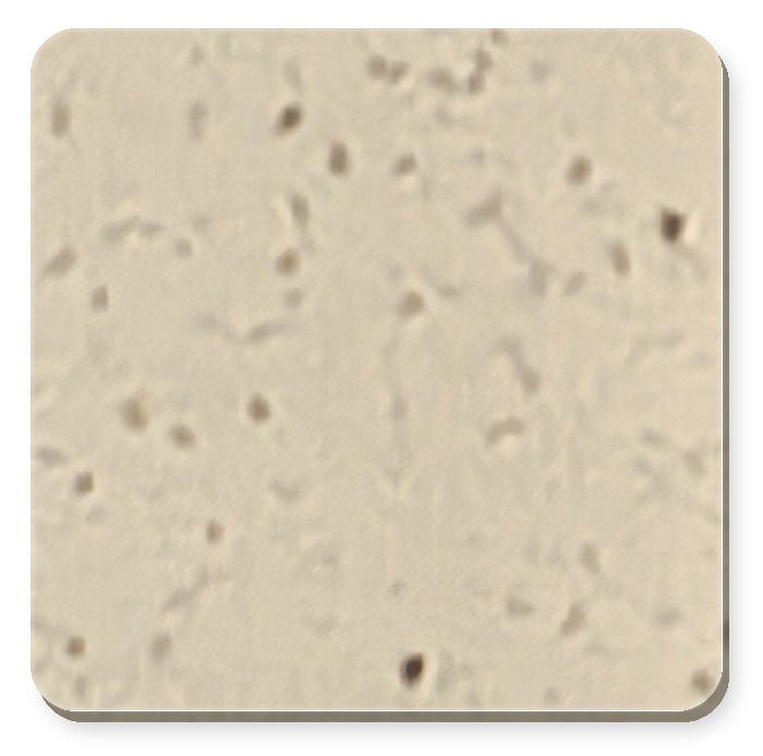 Durasein DM-2013 Sandalwood