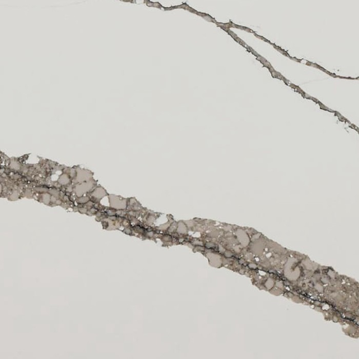 Asterum A4104 Bionica