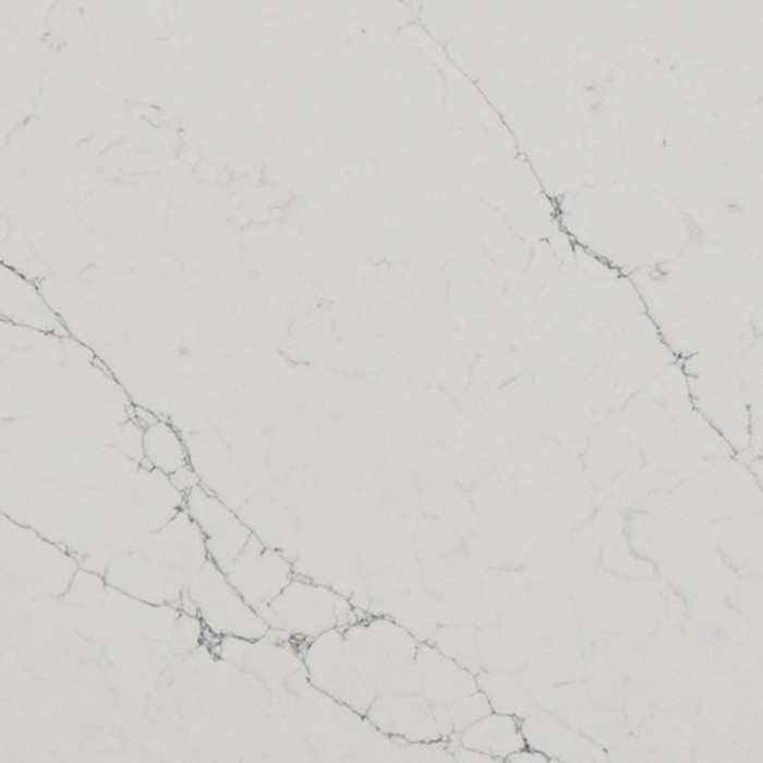 Asterum A3103 Leonardo